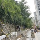 성남제일초등학교 이미지