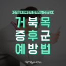 전라남도교육청-거북목증후군예방법 이미지