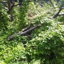 산덕농장 이미지