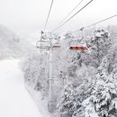 엘리시안 강촌 스키장 이미지