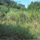 소로3-126 이미지