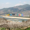 청매실농원 이미지