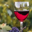 국제유통 이미지