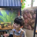 (주)하이원추추파크 | 동물과 교감하는 하이원추추파크 ‘정글대탐험’ 후기