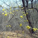 금릉초교 이미지