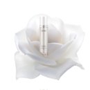 화이트7 이미지