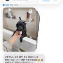 까꼬노라 이미지