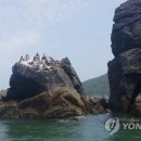 외연도1 이미지