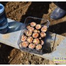 태산농장2 이미지