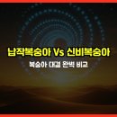 영천 스타농원 | 납작복숭아 vs 신비복숭아: 2025년 여름 복숭아 대결 완벽 비교! 🍑