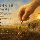 “죽어 열매를 맺는 씨앗” (요 12:24–26) 이미지