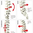 건강한 척추로 가는 현명한 방법 이미지