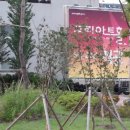 뮤지컬 메모리즈(뉴롤리폴리2013) 이미지