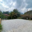 섬지캠핑장 이미지