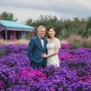 그날의온도웨딩 이미지