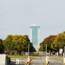 대구대학교 이미지