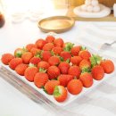 단북애청년 이미지