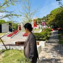 8 - 2. 고려대학교 캠퍼스 셀프 웨딩스냅 촬영 후기 (작가님, 드레스 추천)