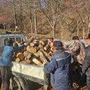 산촌사랑 이미지