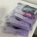 상오방2 | 친구와 함께하는 시드니여행-1 (single o cafe(싱글오) / 오페라하우스 공연_예매방법/ 물개 베니 영접...