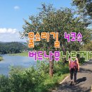 버드나무나루께길(물소리길 4코스) Daum카페