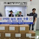 스파인바이오메드 이미지