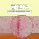 오로라의원 이미지