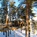 나무호텔 이미지