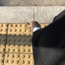 카츠안부경대점 | 떨어진 낙엽 위로 하얀 눈이 덮이네