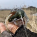 청도천5 이미지