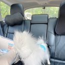 (주)나트리스 이미지