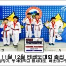 화신태권도 이미지