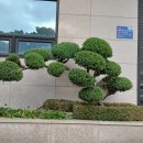 (주)신세기바이오 네이버블로그