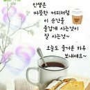 조아조아 Daum카페