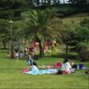 신효동-27 이미지