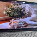 파주 야당 속눈썹 연장 잘하는 곳 아이온 CC컬 추천 후기