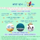 파라다이스 투어 | 코타키나발루 반딧불 투어 추천｜반딧불이 배 안까지 들어온 파라다이스 뚜아이 반딧불 투어 솔직 후기