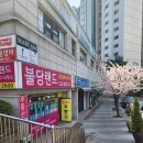 공인중개사 최미경사무소 이미지