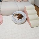 하루멍멍 | 강아지마약방석 우리집 겨울 준비! 멍멍집사 COZY 코지 마약방석 솔직 후기