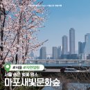 문화교통(주) | 마포새빛문화숲 벚꽃 피크닉 서울 숨은 벚꽃 명소 (희우정로 대신 추천)