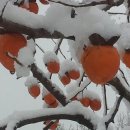 연산재 이미지