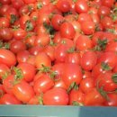 가온농장 이미지