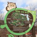 천년의 숲 화장실 이미지