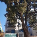 원주김씨 묘역 이미지