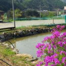 농장민박 이미지