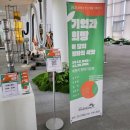 평화기획 | 매향리 평화기념관｜기획전시 '기억과 희망' (전시 종료)