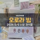 로즈펫살롱 | [부천오늘네일] 맑고 영롱한 느낌 가득한 오로라빔 자석젤 입고