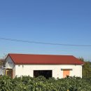 태수농장2 | 제주도 감귤일등맛집 서귀포 남원읍에 있는 자파리 감귤체험농장