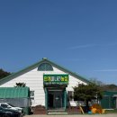 연일농장 | 포항 연일맛집 안계미나리농장 미나리 삼겹살 추천 후기
