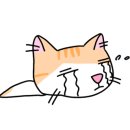 비즈즈 이미지
